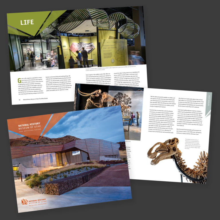 Natural History Museum Of Utah The Official Guide Liz Paton Design